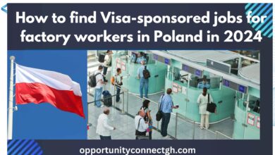 How to find Visa-sponsored jobs for factory workers in Poland in 2024