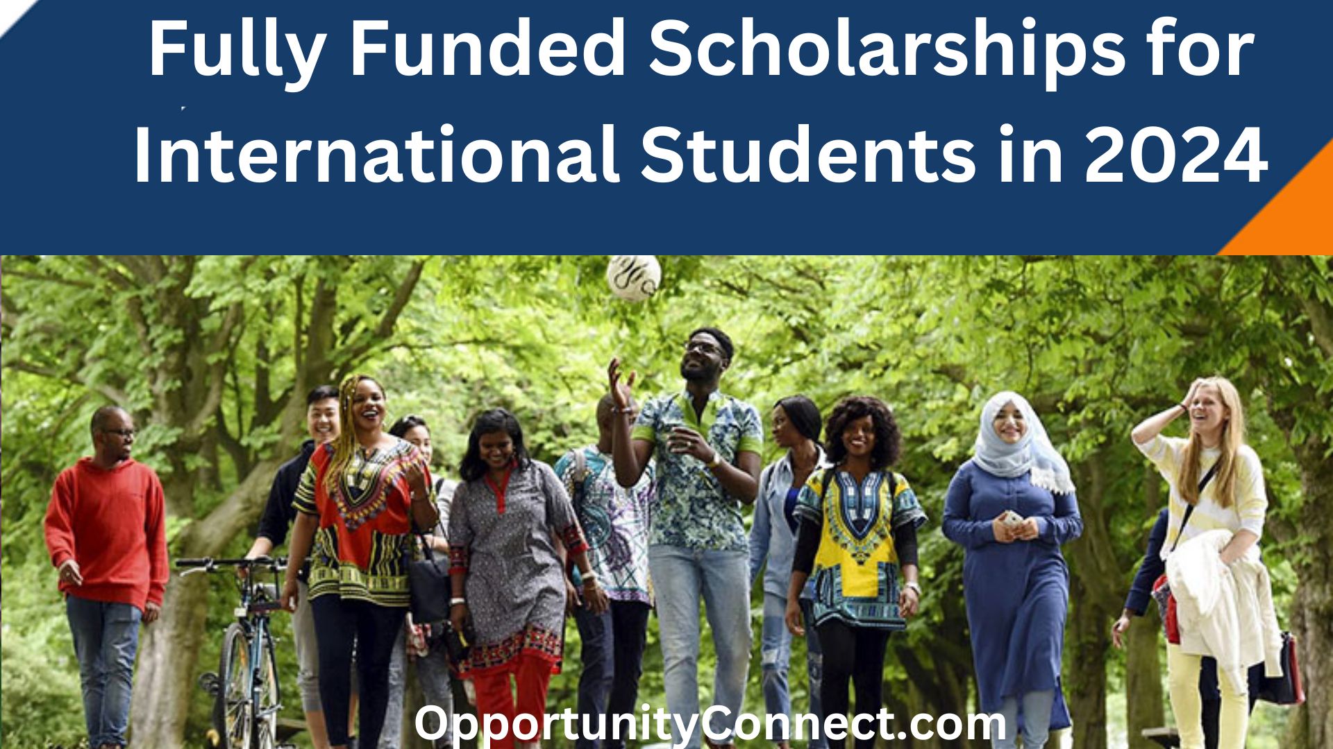 Fully Funded Scholarships for International Students in 2024