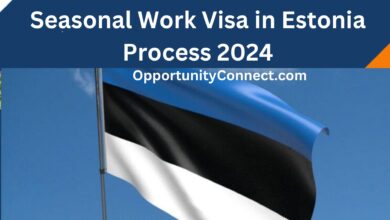 Seasonal Work Visa in Estonia Process 2024