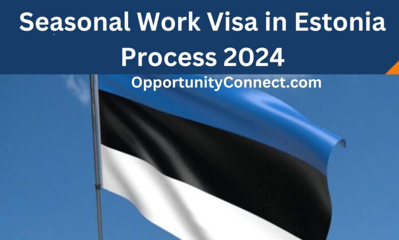 Seasonal Work Visa in Estonia Process 2024