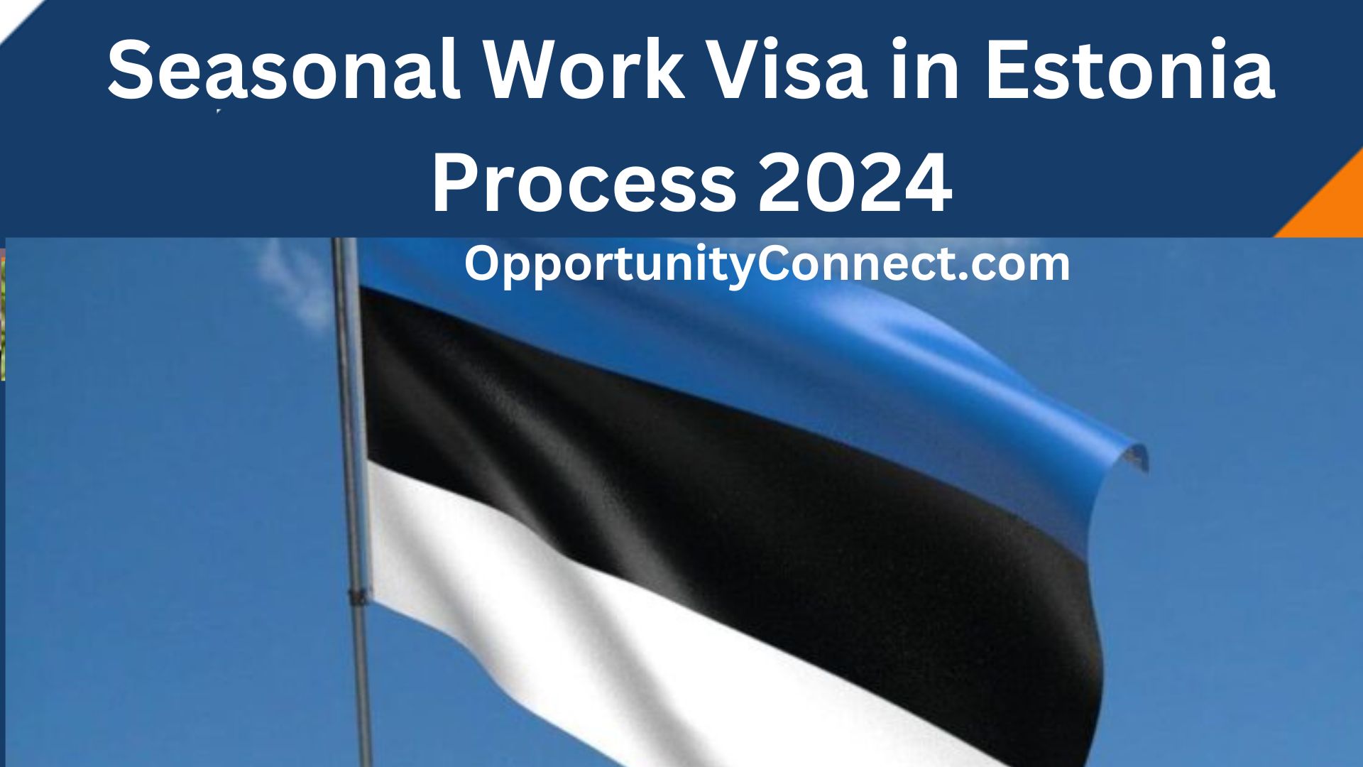 Seasonal Work Visa in Estonia Process 2024 Opportunity Connect