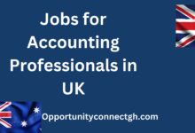 Jobs for Accounting Professionals in UK