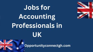 Jobs for Accounting Professionals in UK